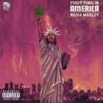 Naira Marley – First Time In America (Lyrics)