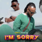 Vybez Visionz – I’m Sorry Ft Demmie Vee