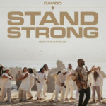 Davido – Stand Strong Instrumental ft. The Samples