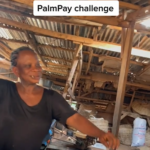 Lord Of Hype – PalmPay challenge