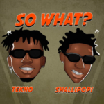 Tekno – So What ft. Shallipopi