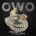 Destiny Boy – OWO