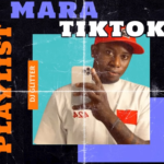 Dj Glitter - TikTok Mara Playlist Track 4 Ft Azzi Beat