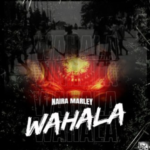 Naira Marley – Wahala Lyrics