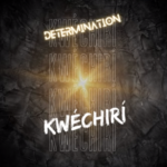 Determination - Kwechiri